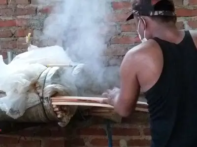 bain bouillant pour le rotin après récolte