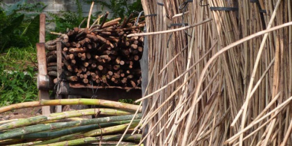 The preparation of the rattan material